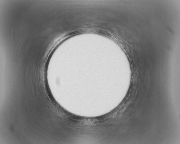 X0000115350103200912151345