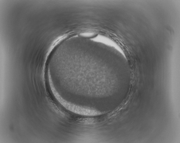 X0000115350104200912151345