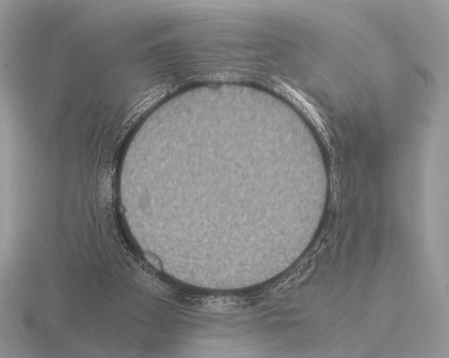 X0000115350105200912151345