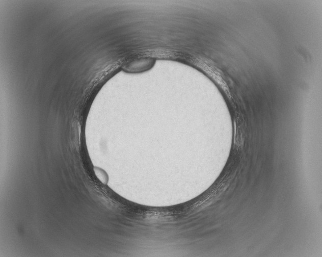 X0000115350109200912151345