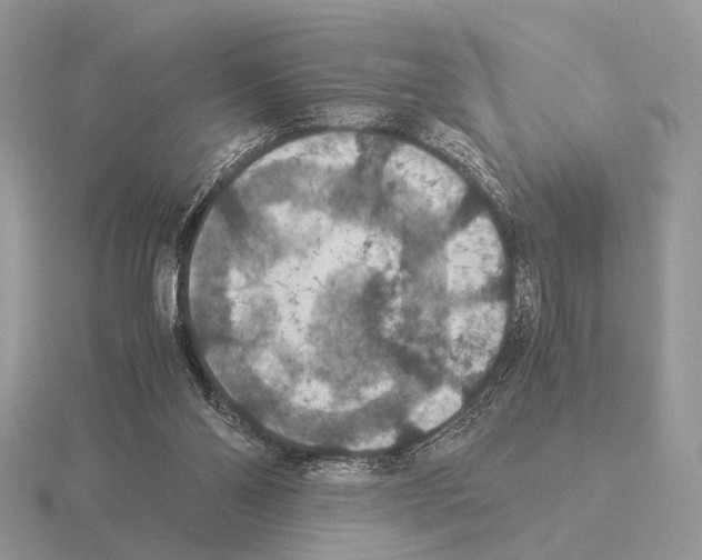 X0000115350110200912151344