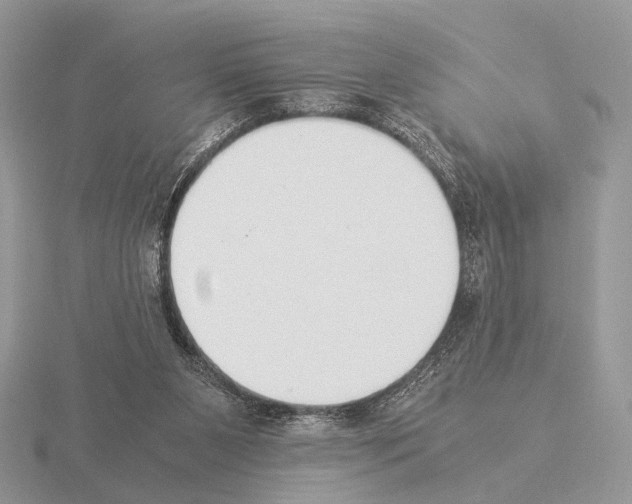 X0000115350111200912151344