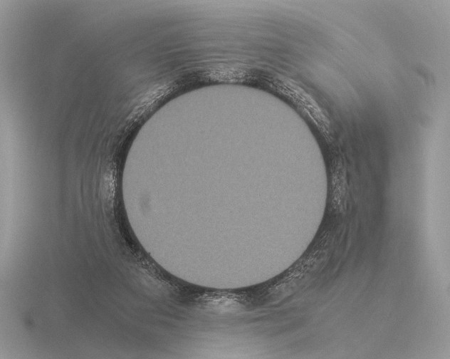 X0000115350113200912151344