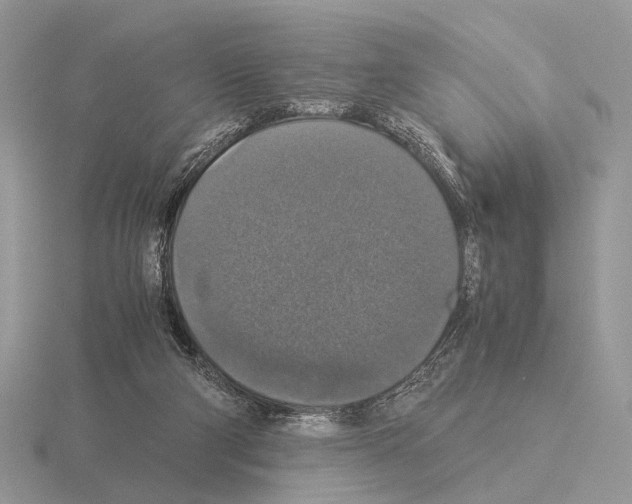 X0000115350114200912151344