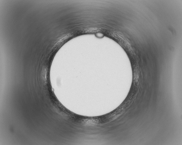 X0000115350115200912151344