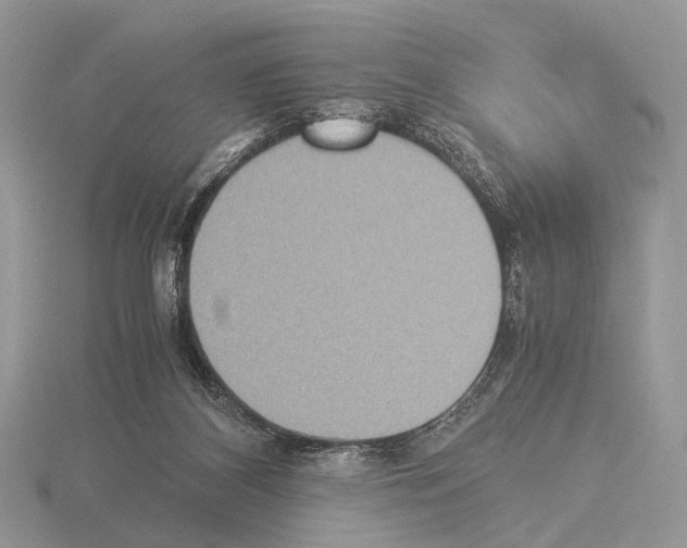 X0000115350116200912151344