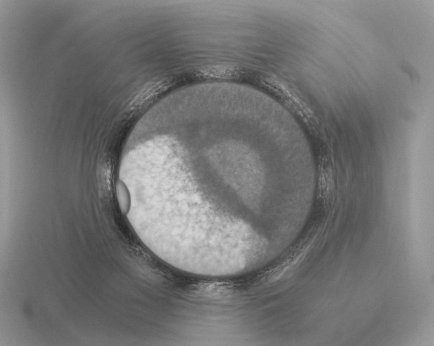 X0000115350117200912151344