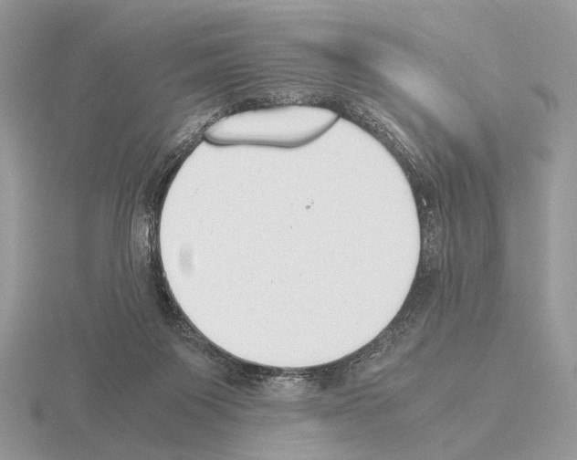 X0000115350119200912151344