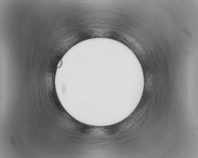 X0000115350121200912151344