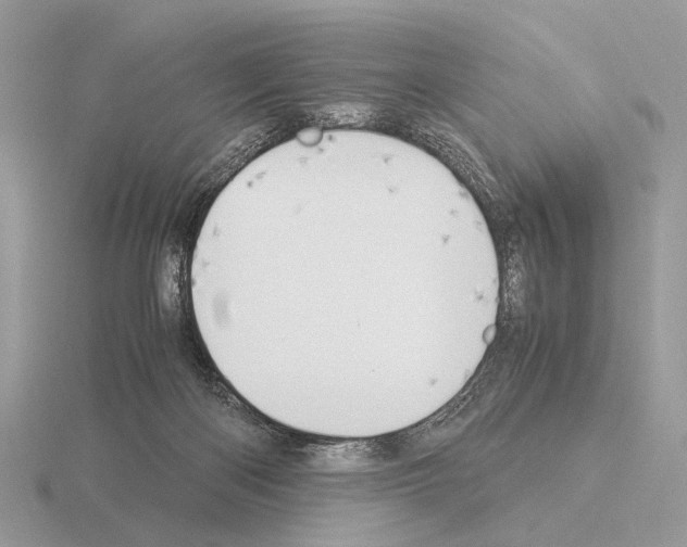 X0000115350122200912151344