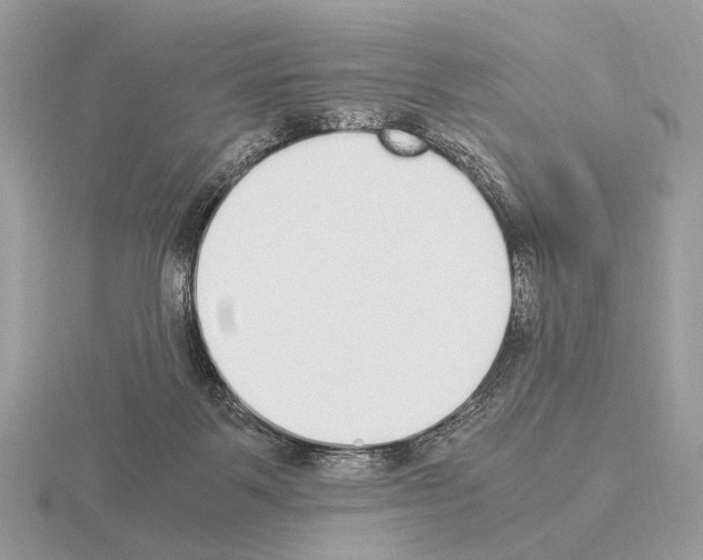 X0000115350123200912151344