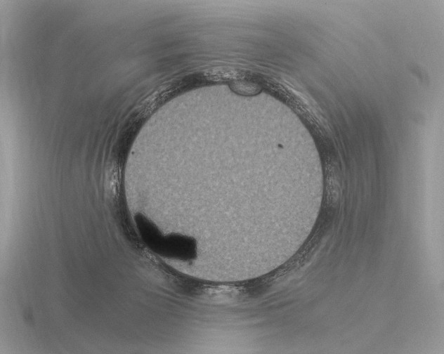 X0000115350125200912151344