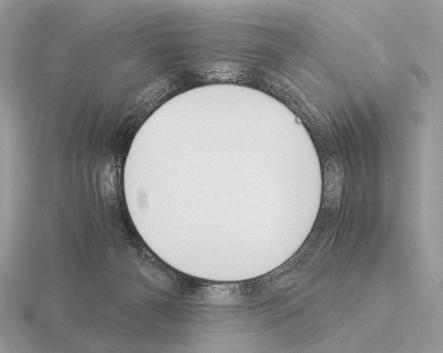 X0000115350126200912151344