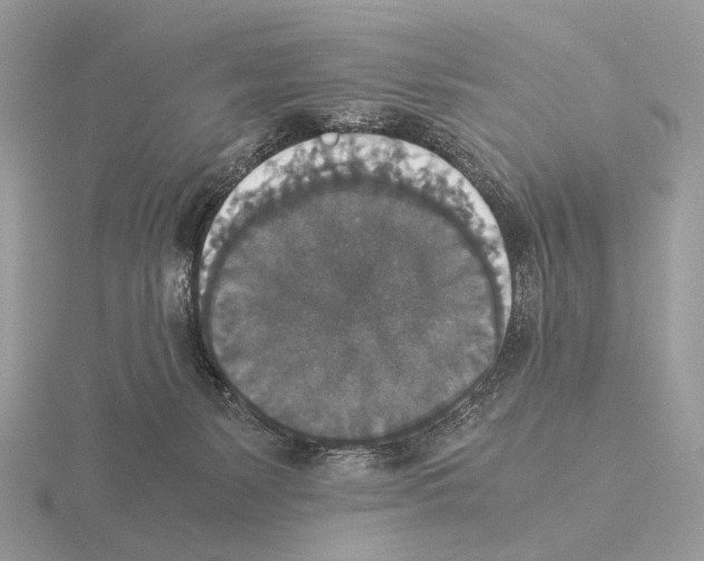 X0000115350127200912151344