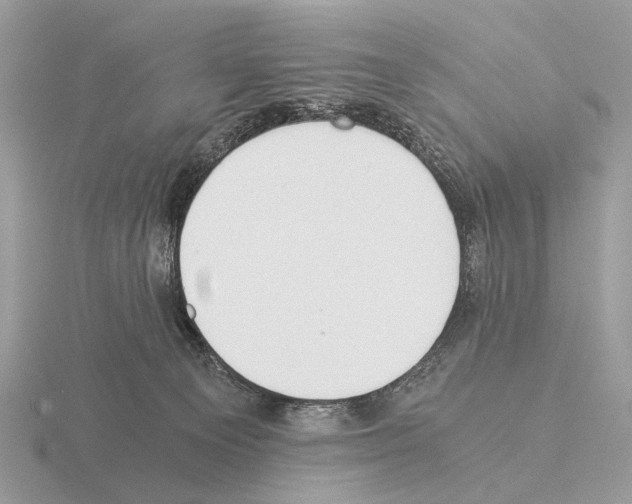 X0000115350129200912151344