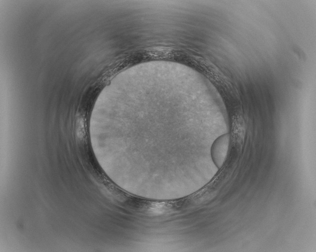 X0000115350130200912151344