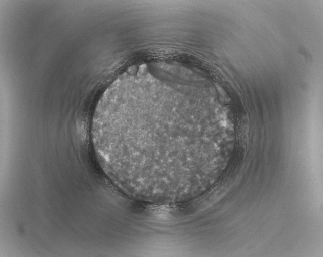 X0000115350131200912151344