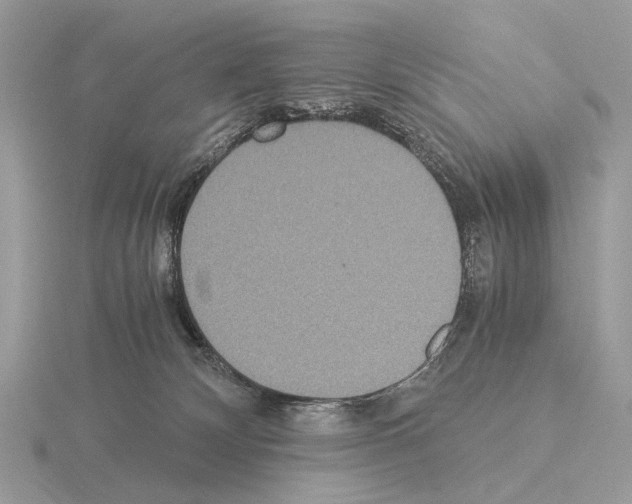 X0000115350132200912151344