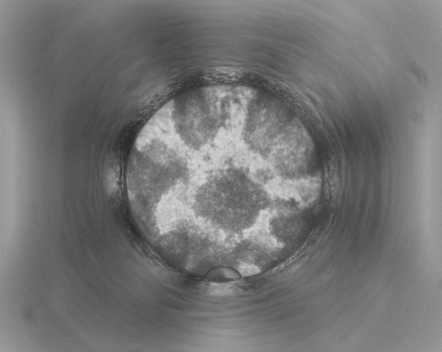 X0000115350134200912151344