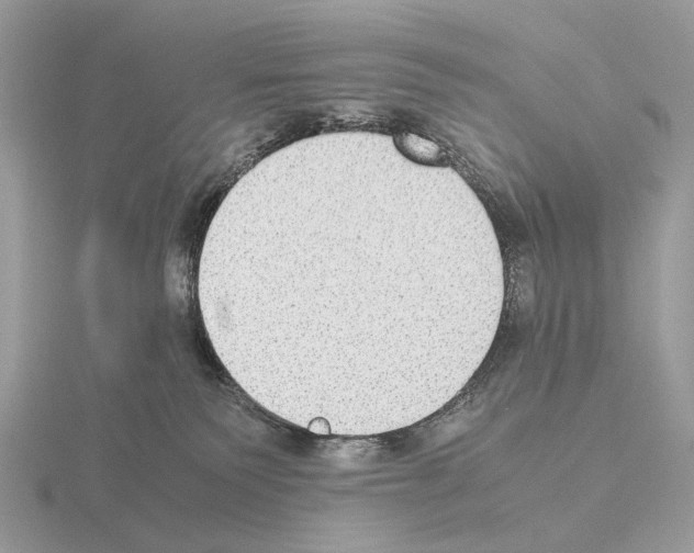 X0000115350135200912151344