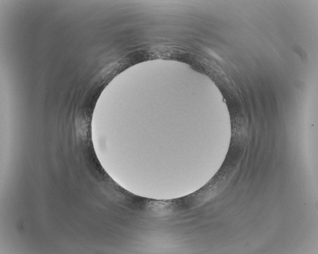 X0000115350139200912151344