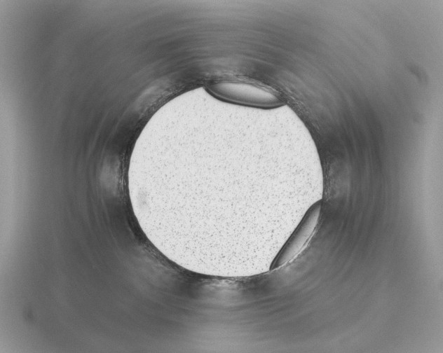 X0000115350140200912151344