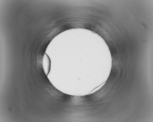 X0000115350141200912151344