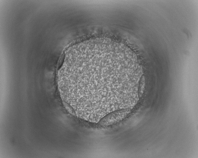 X0000115350144200912151344