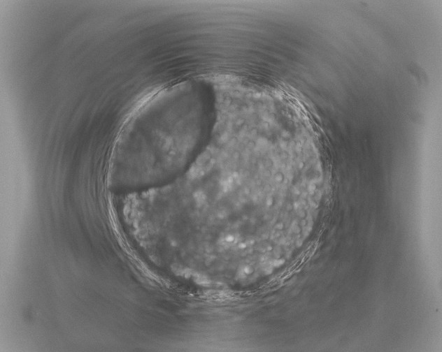 X0000115350145200912151343