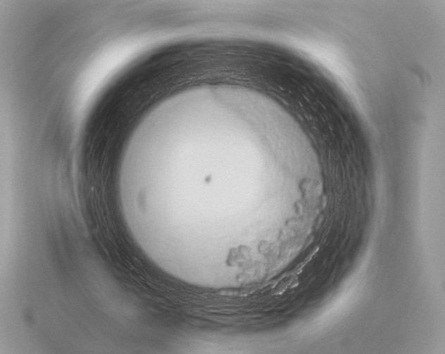 X0000115350146200912151343