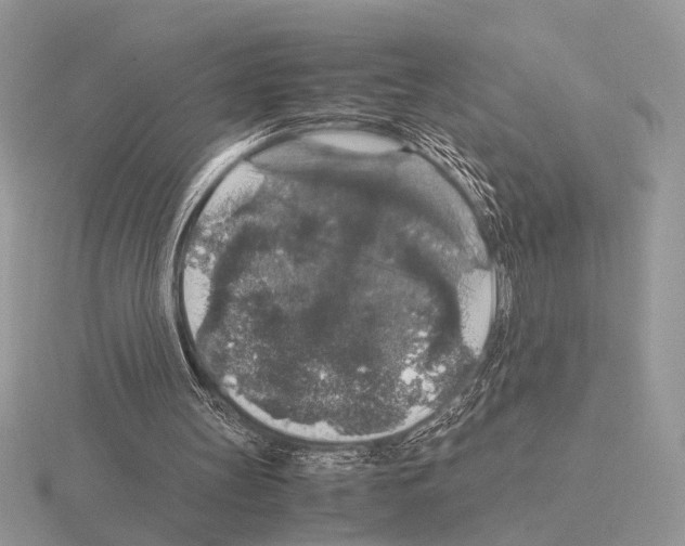 X0000115350147200912151343