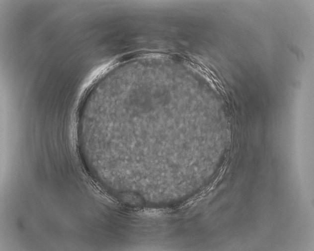 X0000115350149200912151343