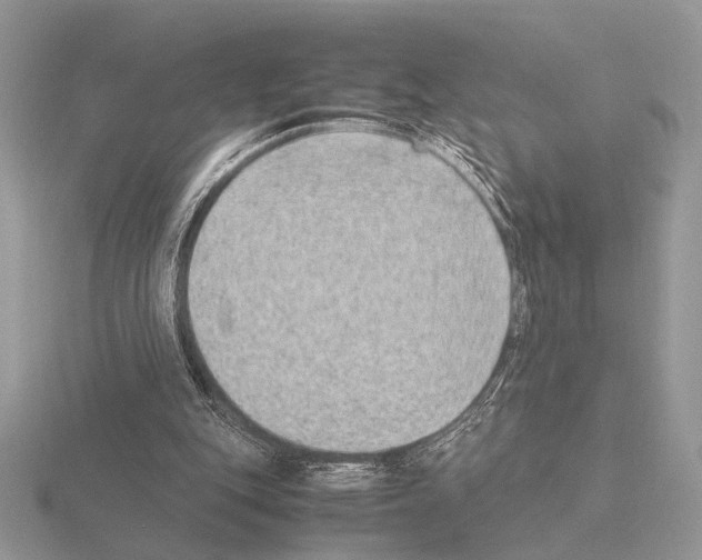 X0000115350151200912151344