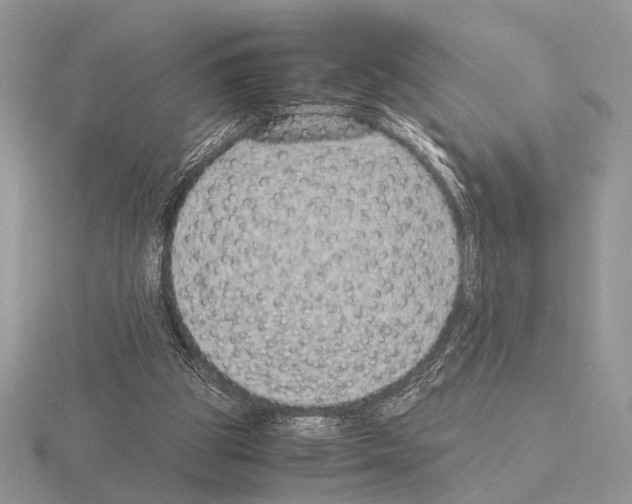 X0000115350153200912151344