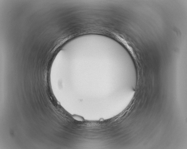 X0000115350154200912151344