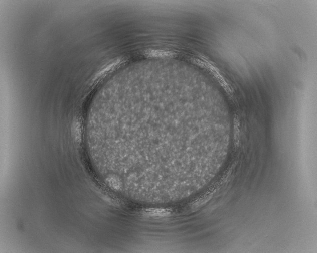 X0000115350161200912151344