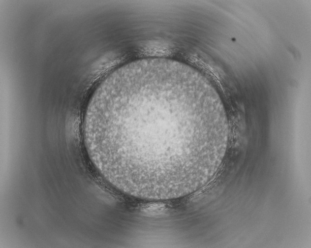 X0000115350162200912151344