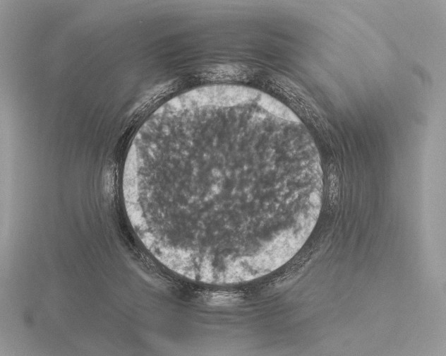 X0000115350165200912151344