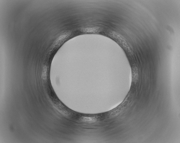 X0000115350167200912151344