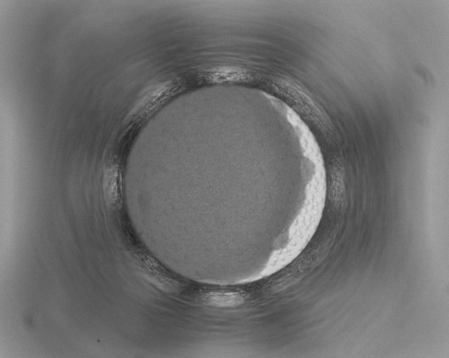 X0000115350169200912151344