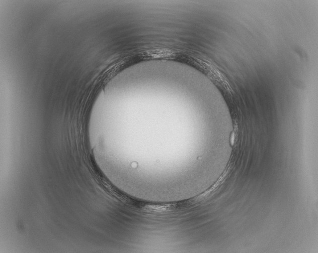 X0000115350170200912151344