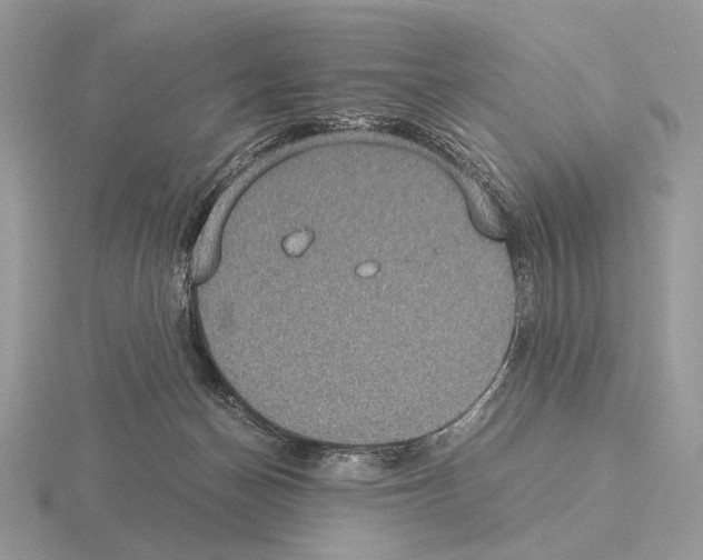 X0000115350174200912151344