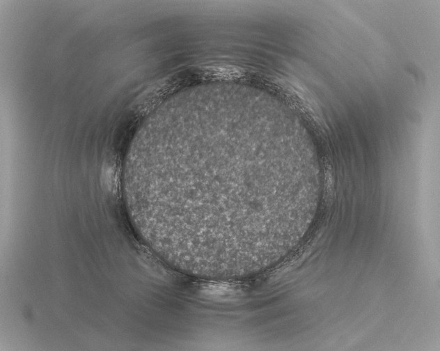 X0000115350177200912151344