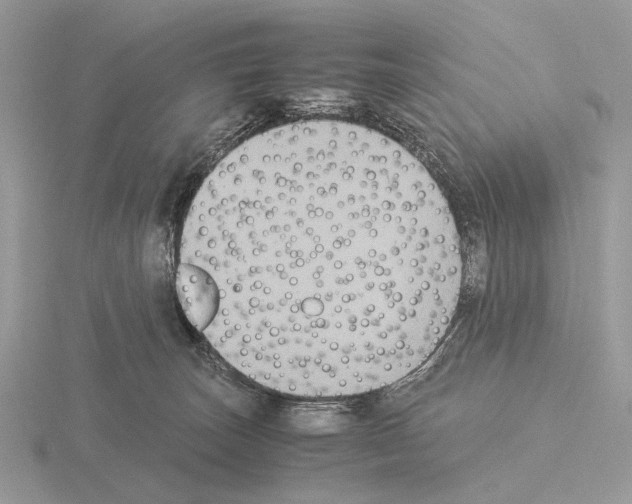 X0000115350179200912151344