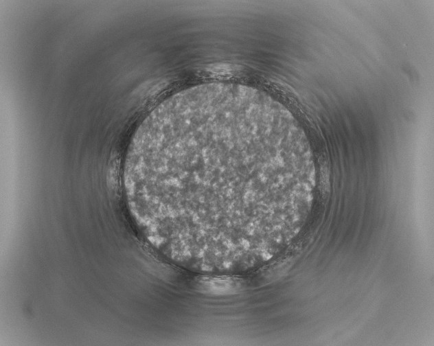 X0000115350181200912151344