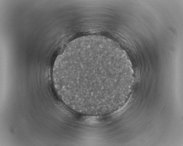 X0000115350182200912151344