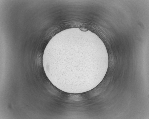 X0000115350185200912151344