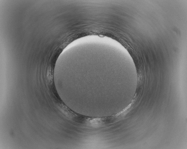 X0000115350186200912151344