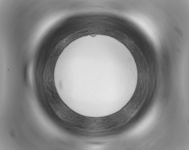 X0000115350189200912151344