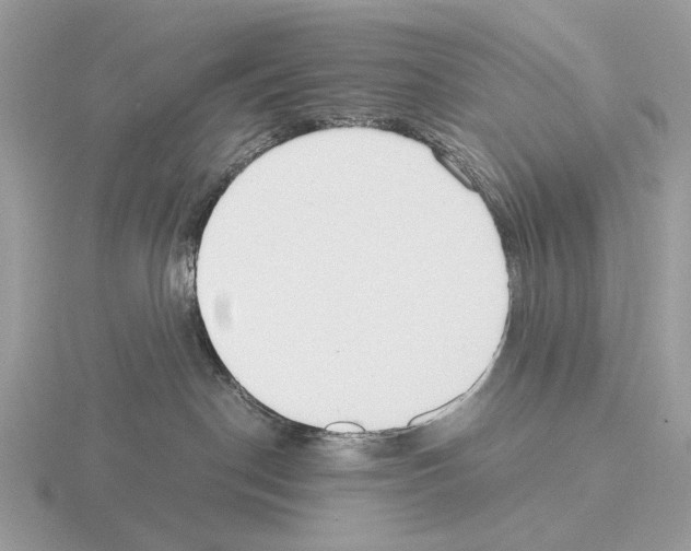 X0000115350190200912151344